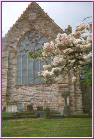 Antica chiesa di Youghal.  Le vetrate risalgono al quindicesimo secolo.